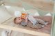 BABY ANNABELLL doll Sweetie for babies Mauve 22 cm 6
