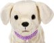 BABY BORN interactive dog with a box 9