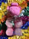 Moschino Toy 2 Bubble Gum Woda toaletowa 100ml spray + 10ml spray + Żel pod prysznic 100ml + Balsam do ciała 100ml 11
