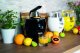 Unold 78135 Zitruspresse Power Juicy Black 10