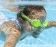 Bestway 21002 Aqua Burst Essential Okulary do pływania Zielone 5