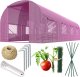 Tunel ogrodowy 2,5 x 4 m (10m2) różowy Plonos 1