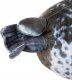 Kruzzel Maskotka - foka 60 cm 24644 10