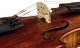Zestaw Skrzypiec Stentor SR1864 Verona Violin 4/4 Ręcznie Wykonany Nowy 5
