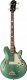 Epiphone Jack Casady Bass FPB Gitara Bas A kustyczny Klonowy Korpus Blue 1