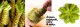 Wasabi w proszku instant do sushi przyprawa ostry chrzan powder 25g 1