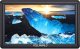 Feelworld Monitor S55 V3 7