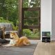Shark RV2800ZEEU robot vacuum cleaner with mopping function, black 8