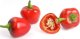 Véritable Lingot Červená mini paprika - BIO 6
