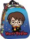 Plecak przedszkolny Harry Potter 3D Duży do przedszkola 1