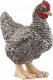 Figurka Schleich SLH kura rasy Plymouth 13997 61718 1