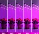 LAMPA DO ROŚLIN 3 GŁOWY SLIM 3 HEAD GROW LIGHT 10