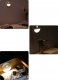 2X LAMPKA NOCNA LED GNIAZDKO 2 ZJ030021 10