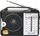RADIO KUCHENNE HZ-100 1