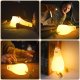 LAMPKA NOCNA KACZUCHA K-1096 12