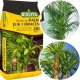 ZIEMIA - DO PALM, JUK I DRACEN - 5 L. 2