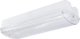 Oprawa Awaryjna Natynkowa Galer 04 3M 3,5W Ip65 Z Piktogramami C90-Glr-3Zp-Mt3H-Cnbop Bemko 1