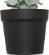 Sztuczny eukaliptus MERLY, 51 cm 2