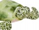 Maskotka pluszowy Żółw morski żółwik 20cm 14152 1