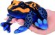 Maskotka pluszowa Żaba pomarańczowo-czarna 13cm kolorowa żabka 14120 2