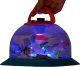 STEM INSECT VIEWER 13
