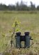Focus Observer 8x50 HD 4