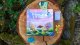 Ravensburger Gra planszowa Mycelia 9