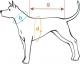 Ami Play Kurtka z kapturem Boston Cocker Spaniel 46 x 51-59 x 72-78 cm Szary 2