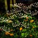 Saska Garden STL-7275-60 LAMPA SOLARNA DMUCHAWIEC DRZEWKO FAJERWERKI 72CM 60 LED SASKA GARDEN 5