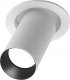 Maytoni DOWNLIGHT ARTISAN GU10 10W W 1