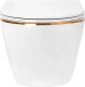 Misa WC podwieszana Rea Carlo Mini Rimless Flat Tornado GOLD EDGE 1