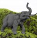 Figurki Zwierzęta Zoo Zwierzątka Zestaw Figurek Dzikie Safari Kuferek 58 El 10