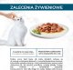 Purina Gourmet Perle Mini Fileciki w sosie Karma dla kotów 60x85g 7