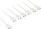Kolink ARGB 1-6 Splitterkabel - 30cm, weiß 1