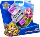 Paw Patrol Core Action Pup - Skye 3