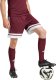 Spodenki męskie adidas Squadra 25 bordowe JC8677 S 1