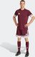 Spodenki męskie adidas Squadra 25 bordowe JC8677 S 6