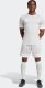 Koszulka męska adidas Squadra 25 szara JG5837 XL 7