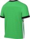 Koszulka męska Nike Dri-FIT Academy SS Top zielona FZ9754 329 S 2