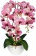 Storczyk sztuczny, kwiaty orchidea 3P, guma, 1