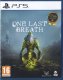 One Last Breath (PS5) 1