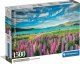 Clementoni Puzzle Compact Lupins At Lake Tekapo 1500 elementów (31731) 1