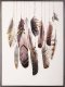 Feeby Plakat w ramie boho Feathers 1