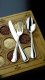 Eternum Anser widelec przystawkowy 2
