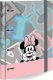 DISNEY FASHION - SEGREGATOR A4 / 100 K. MIX 3 WZORÓW /MINNIE MOUSE 2