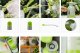 Opryskiwacz Ciśnieniowy Ręczny z Miarką do Odmierzania Oprysku 2L Spryskiwacz do Oprysków Wysoka Jakość 6