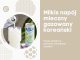 Napój Milkis mleczny koreański o smaku melona bezalkoholowy gazowany puszka 250ml 3