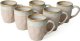 Puodelių rinkinys (6 vienetai) Shizen Q38 - Powder 1