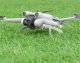 SKŁADANE SANKI NÓŻKI DO LĄDOWANIA PODWOZIE DO DJI MINI 3 / 3 PRO 2