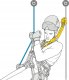 Absorber asap sorber axess PETZL 3